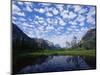 Pond Next to St. Mary Lake, Glacier National Park, Montana, United States of America, North America-James Hager-Mounted Photographic Print