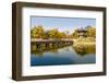 Pond Pagoda-tanaonte-Framed Photographic Print