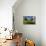 Pond, Reeds and Poplar Trees, Bannockburn, Central Otago, South Island, New Zealand-David Wall-Photographic Print displayed on a wall