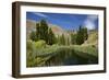 Pond, Reeds and Poplar Trees, Bannockburn, Central Otago, South Island, New Zealand-David Wall-Framed Photographic Print