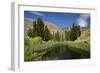 Pond, Reeds and Poplar Trees, Bannockburn, Central Otago, South Island, New Zealand-David Wall-Framed Photographic Print