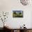 Pond, Reeds and Poplar Trees, Bannockburn, Central Otago, South Island, New Zealand-David Wall-Photographic Print displayed on a wall