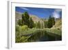 Pond, Reeds and Poplar Trees, Bannockburn, Central Otago, South Island, New Zealand-David Wall-Framed Photographic Print