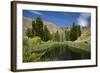 Pond, Reeds and Poplar Trees, Bannockburn, Central Otago, South Island, New Zealand-David Wall-Framed Photographic Print