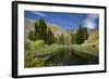 Pond, Reeds and Poplar Trees, Bannockburn, Central Otago, South Island, New Zealand-David Wall-Framed Photographic Print