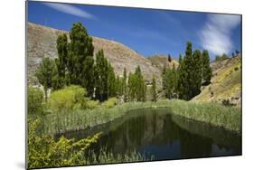 Pond, Reeds and Poplar Trees, Bannockburn, Central Otago, South Island, New Zealand-David Wall-Mounted Photographic Print