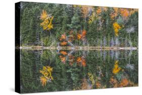 Pond Reflection Detail, White Mountains, New Hampshire-Vincent James-Stretched Canvas