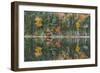Pond Reflection Detail, White Mountains, New Hampshire-Vincent James-Framed Photographic Print