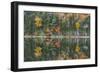 Pond Reflection Detail, White Mountains, New Hampshire-Vincent James-Framed Photographic Print