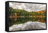 Pond Reflection, White Mountains, New Hampshire-Vincent James-Framed Stretched Canvas