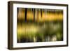 Pond Reflection-Ursula Abresch-Framed Photographic Print