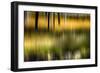 Pond Reflection-Ursula Abresch-Framed Photographic Print