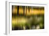 Pond Reflection-Ursula Abresch-Framed Photographic Print