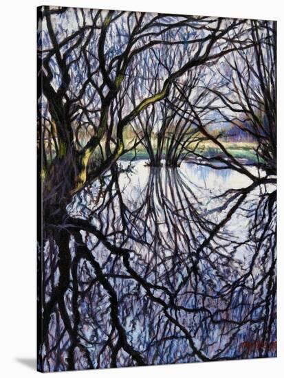 Pond Reflections, 2009-Tilly Willis-Stretched Canvas