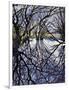 Pond Reflections, 2009-Tilly Willis-Framed Giclee Print