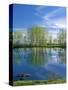 Pond Reflects Aspen & Cirrus Clouds at Sunrise on Steens Mountain, Oregon, USA-Scott T^ Smith-Stretched Canvas