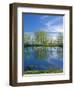 Pond Reflects Aspen & Cirrus Clouds at Sunrise on Steens Mountain, Oregon, USA-Scott T^ Smith-Framed Photographic Print