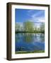 Pond Reflects Aspen & Cirrus Clouds at Sunrise on Steens Mountain, Oregon, USA-Scott T^ Smith-Framed Photographic Print