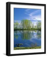 Pond Reflects Aspen & Cirrus Clouds at Sunrise on Steens Mountain, Oregon, USA-Scott T^ Smith-Framed Photographic Print