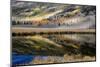Pond reflects aspen trees and conifers. Fishlake, Utah, USA-Scott T. Smith-Mounted Photographic Print