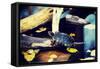 Pond Slider Turtle in the Wild-B-D-S-Framed Stretched Canvas