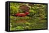 Pond, Strolling Garden, Portland Japanese Garden, Oregon, Usa-Michel Hersen-Framed Stretched Canvas