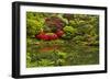 Pond, Strolling Garden, Portland Japanese Garden, Oregon, Usa-Michel Hersen-Framed Photographic Print