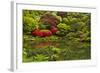 Pond, Strolling Garden, Portland Japanese Garden, Oregon, Usa-Michel Hersen-Framed Photographic Print