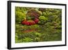 Pond, Strolling Garden, Portland Japanese Garden, Oregon, Usa-Michel Hersen-Framed Photographic Print