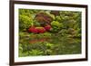 Pond, Strolling Garden, Portland Japanese Garden, Oregon, Usa-Michel Hersen-Framed Photographic Print