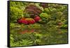 Pond, Strolling Garden, Portland Japanese Garden, Oregon, Usa-Michel Hersen-Framed Stretched Canvas