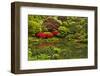 Pond, Strolling Garden, Portland Japanese Garden, Oregon, Usa-Michel Hersen-Framed Photographic Print