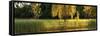 Pond Sunset Panorama-Steve Gadomski-Framed Stretched Canvas