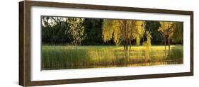 Pond Sunset Panorama-Steve Gadomski-Framed Photographic Print