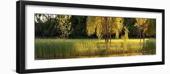 Pond Sunset Panorama-Steve Gadomski-Framed Photographic Print