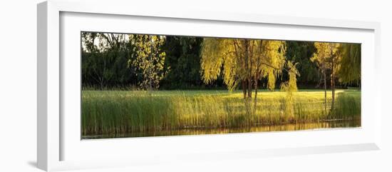 Pond Sunset Panorama-Steve Gadomski-Framed Photographic Print