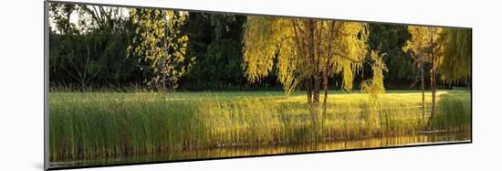 Pond Sunset Panorama-Steve Gadomski-Mounted Photographic Print