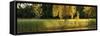 Pond Sunset Panorama-Steve Gadomski-Framed Stretched Canvas