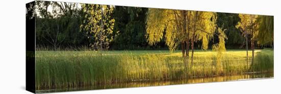 Pond Sunset Panorama-Steve Gadomski-Stretched Canvas