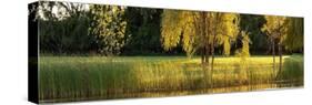 Pond Sunset Panorama-Steve Gadomski-Stretched Canvas