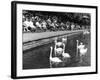 Pond Swans-null-Framed Photographic Print