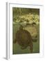 Pond Turtles-Louis Prang-Framed Art Print