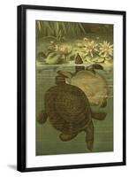 Pond Turtles-Louis Prang-Framed Art Print