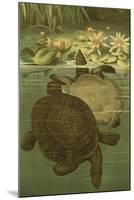 Pond Turtles-Louis Prang-Mounted Art Print