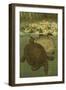 Pond Turtles-Louis Prang-Framed Art Print