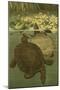 Pond Turtles-Louis Prang-Mounted Art Print