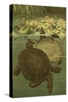 Pond Turtles-Louis Prang-Stretched Canvas