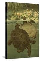 Pond Turtles-Louis Prang-Stretched Canvas