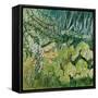 Pond with Goldfish-Joan Thewsey-Framed Stretched Canvas