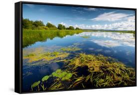 Pond with Water Lilies and Grass at Sunny Summer Day-Dudarev Mikhail-Framed Stretched Canvas